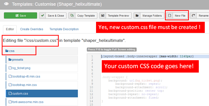 Custom Css File