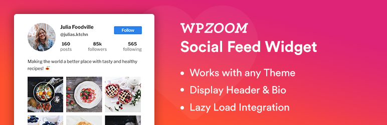 Wpzoom Social Feed Widget