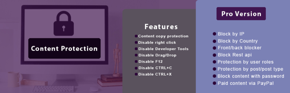 Wordpress Content Protection Plugin