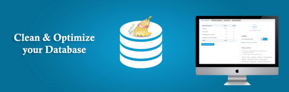A Collection Of 9 WordPress Database Plugins