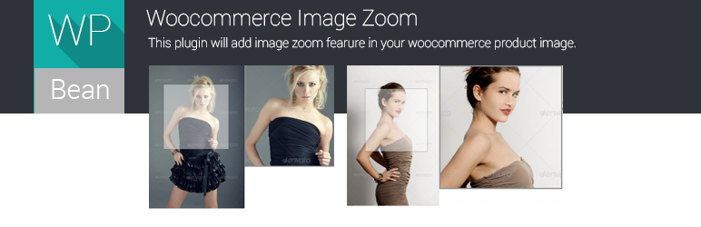 Wordpress Zoom Plugin