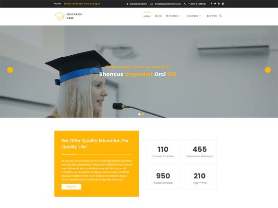 Wordpress Education Themes 26