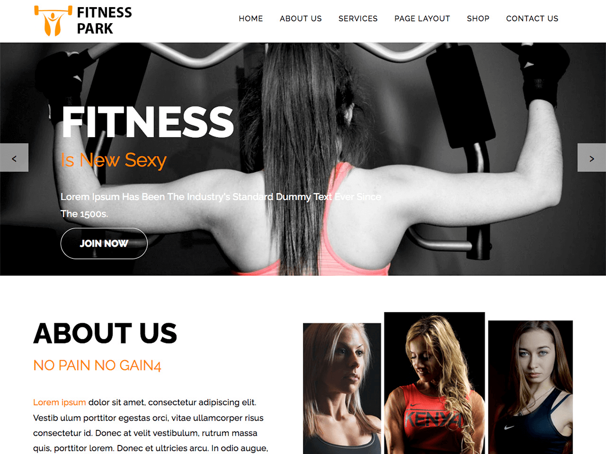 wordpress-fitness-and-gym-themes