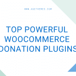 6+ Powerful WooCommerce Donation Plugins