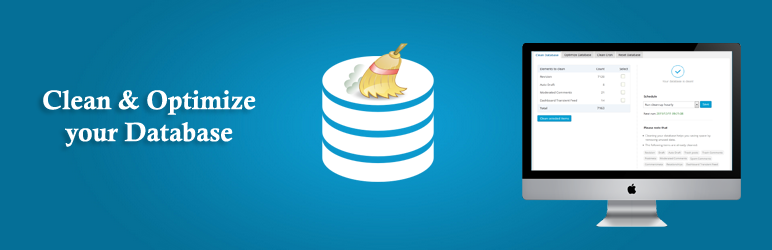 Wordpress Clean Database Plugin: Advanced Database Cleaner