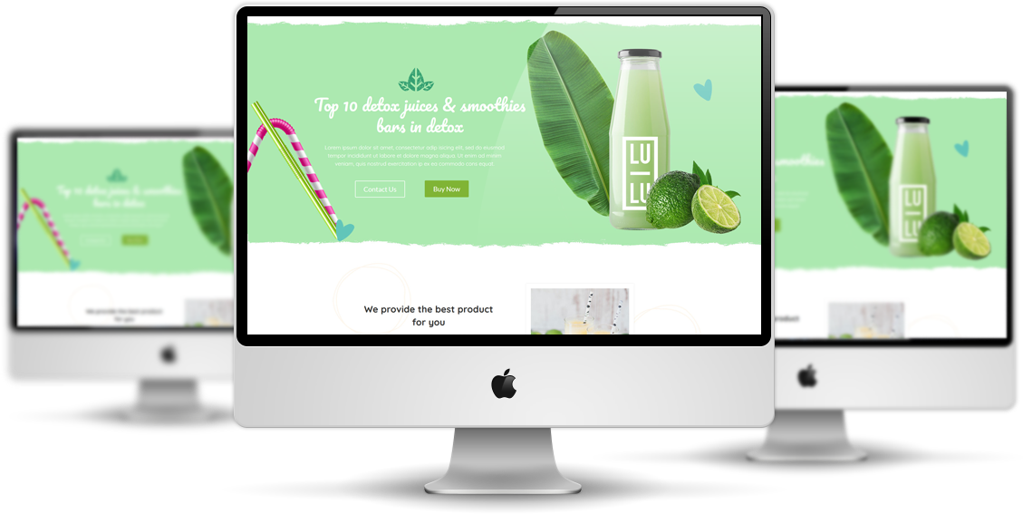 Tpg-Detox-Responsive-Wordpress-Theme3