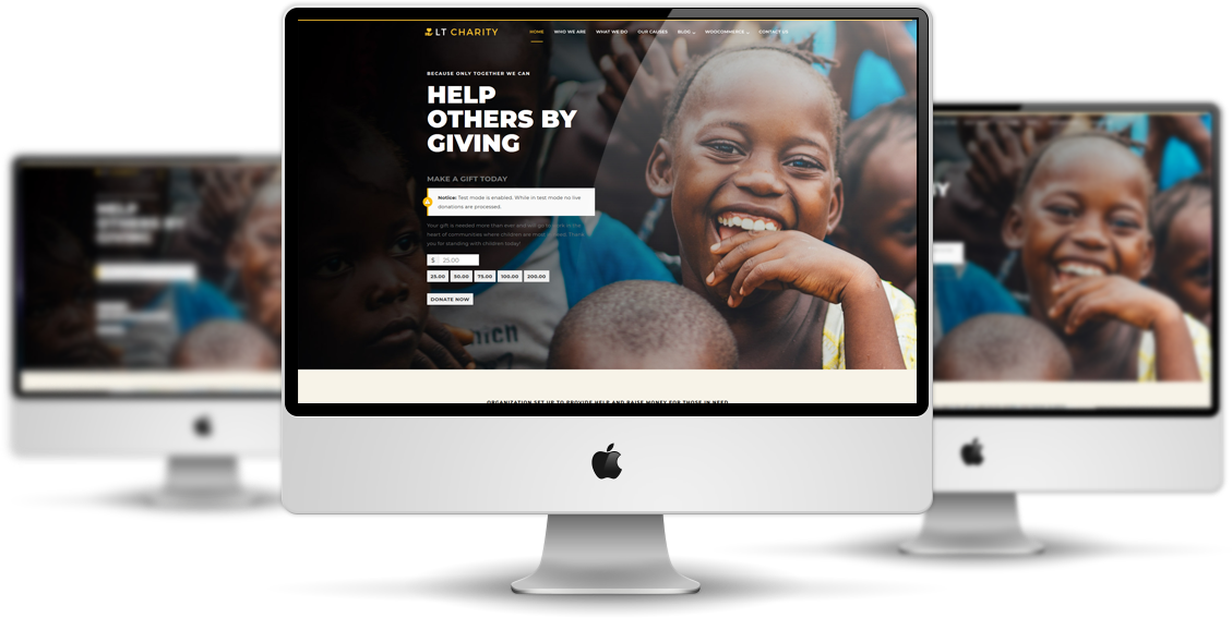 Lt-Charity-Elemento-Wordpress-Theme