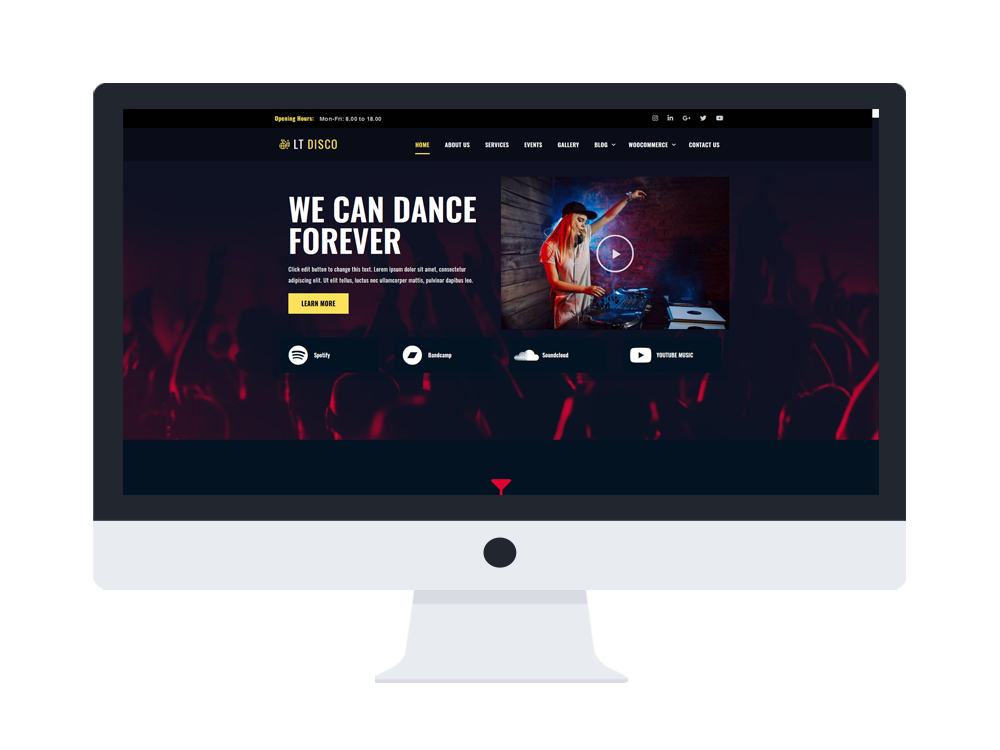 Lt-Disco-Free-Wordpress-Theme