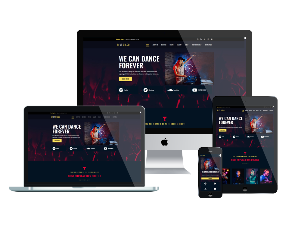 Lt-Disco-Responsive-Wordpress-Theme