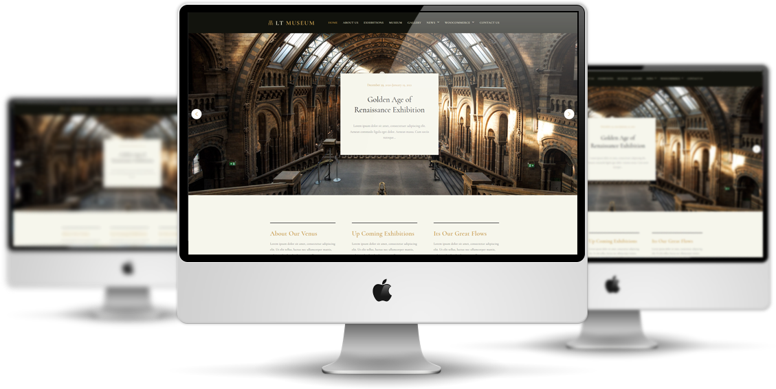 Lt-Musesum-Elemento-Wordpress-Theme