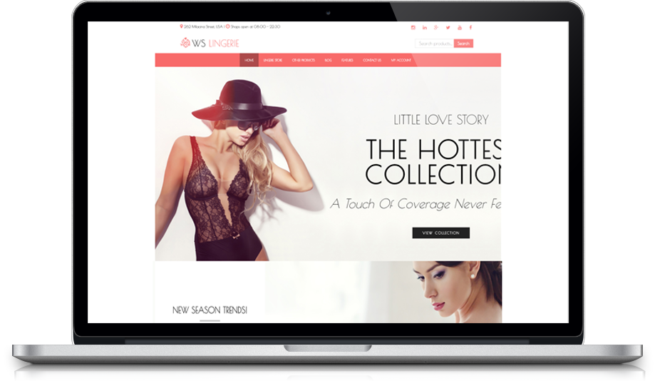 Ws Lingerie Free Responsive Wordpress Theme 542