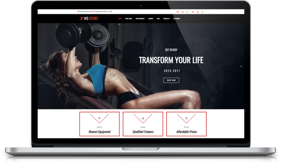 Ws Sport Free Responsive Wordpress Theme 54