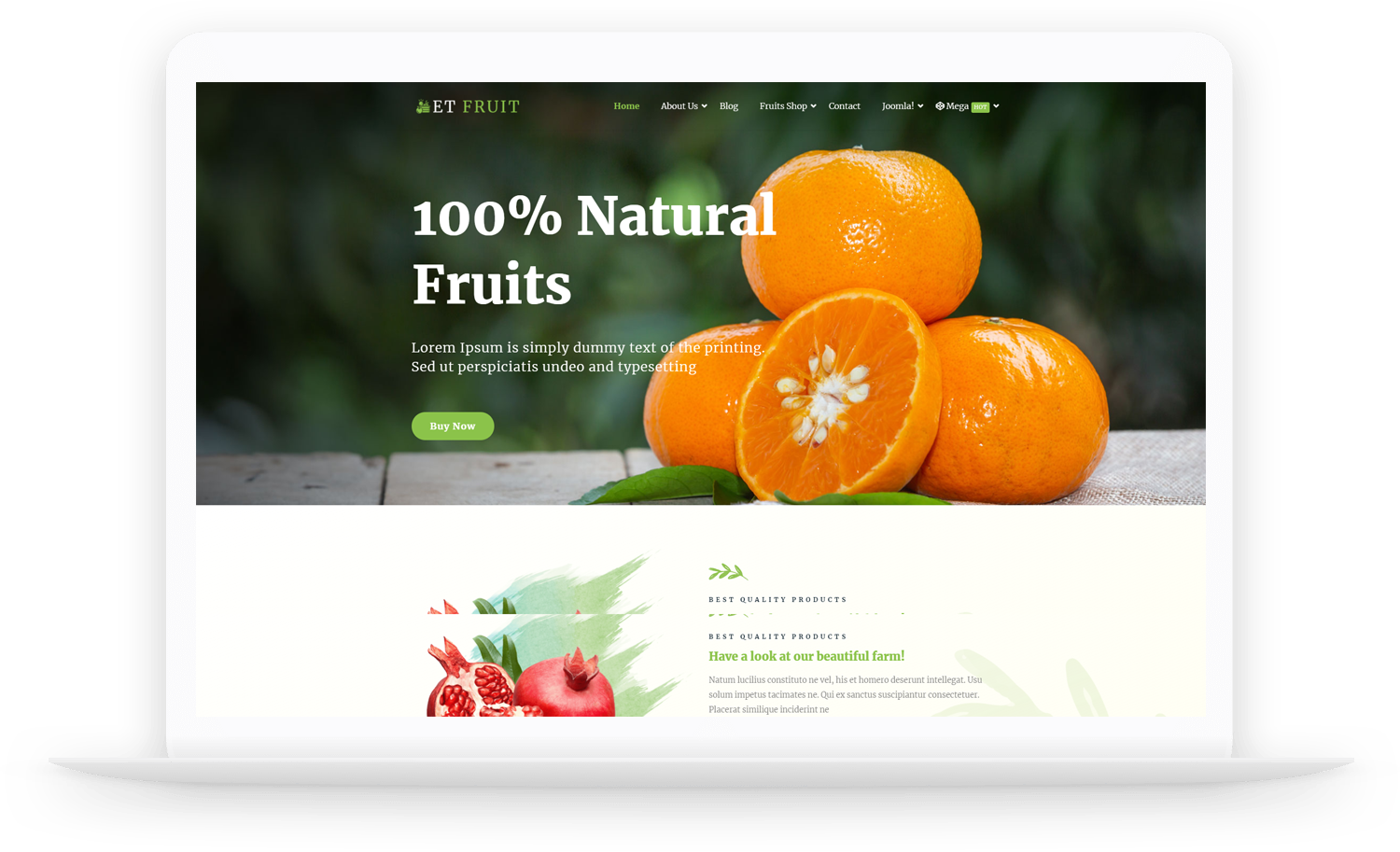 Et-Fruit-Joomla-Template