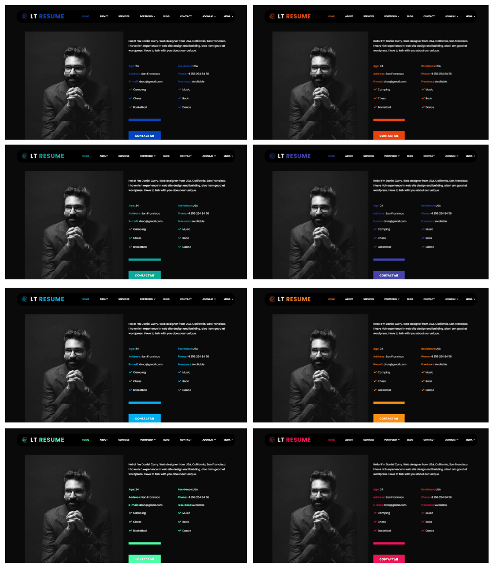 Lt Resume 8 Color Presets