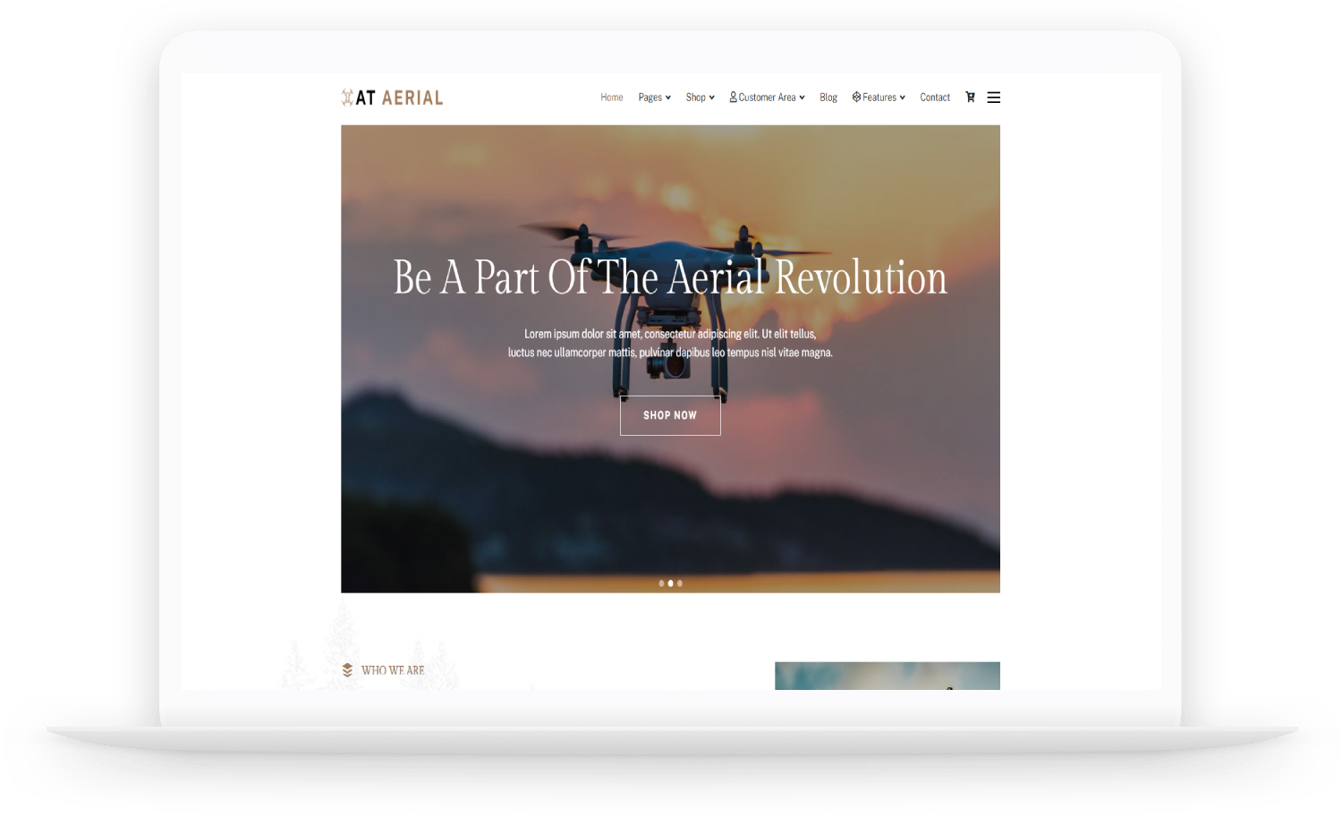 at aerial MacBook ltheme